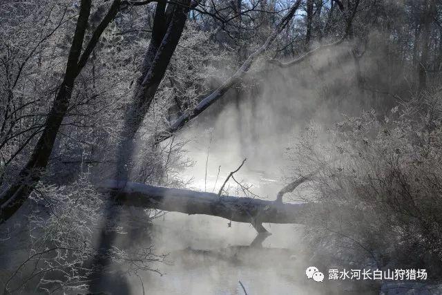 光之子